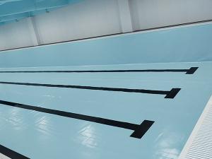 東莞長安海豚室內游泳館